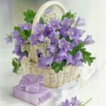 Поздравления с днем рождения девушке: красивые и оригинальные пожелания для особого праздника