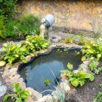 Оборудование для пруда: как обеспечить чистоту, стабильность и эстетику водоёма