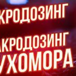 Микродозинг Amanita Club: новый подход к психоактивным веществам