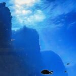 В Александрии нашли затопленный порт — он может привести к гробнице Клеопатры