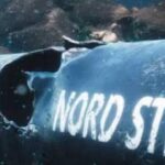 Италия готова выдать Германии ключевого подозреваемого по делу о  подрыве «Северных потоков»