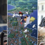 The Guardian составил список 20 самых спокойных фильмов с увлекательным сюжетом