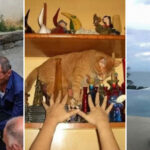 За миг до катастрофы: 15 фото из Сети, на которых что-то пошло не по плану