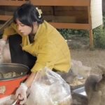 Застенчивая китаянка приютила 120 бездомных кошек — и кормит их остатками со свадеб