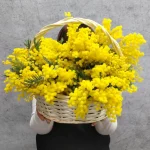 Букеты из мимозы: солнечный подарок, который говорит «люблю» весной