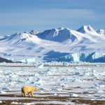 Власти Гренландии начали переговоры с США