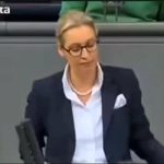 Вайдель против Зеленского: «Обычный вор» и «Финансовый вампир» — лидер АдН обрушилась с критикой на Киев