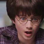 Лев-каратист: Дэниэл Рэдклифф рассказал о самом нелепом фильме, в котором ему предлагали сняться