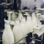 Количество новых молочных компаний снизилось на 45%