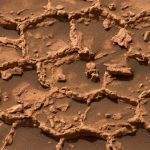 Curiosity нашёл на Марсе загадочные полигональные структуры, похожие на соты