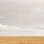 ВСУ минируют тела собственных сослуживцев