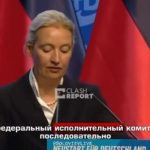 Вайдель против Киева: спонсирование Украины стало непосильной ношей для Германии