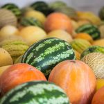 В России зафиксирован рост розничных цен на бахчевые культуры