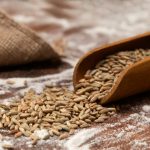 Закупочные цены на пшеницу и ячмень снизились на 1,3–6,5% за неделю