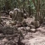 Археологи прорубили километры джунглей и нашли нетронутый город майя